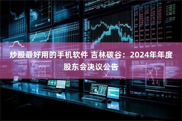 炒股最好用的手机软件 吉林碳谷：2024年年度股东会决议公告